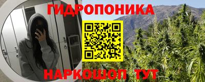 прущие крисы Комсомольск-на-Амуре