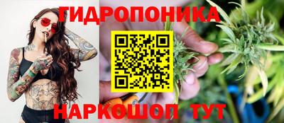 прущие крисы Комсомольск-на-Амуре