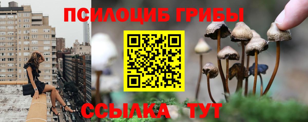 Кемерово  наркошоп  Вход с VPN  Псилоцибиновые грибы GOLDEN TEACHER 